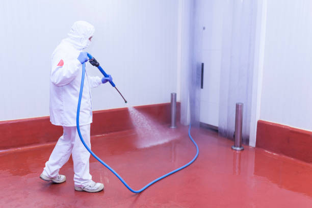 Boat and Dock Cleaning in Helena, MT